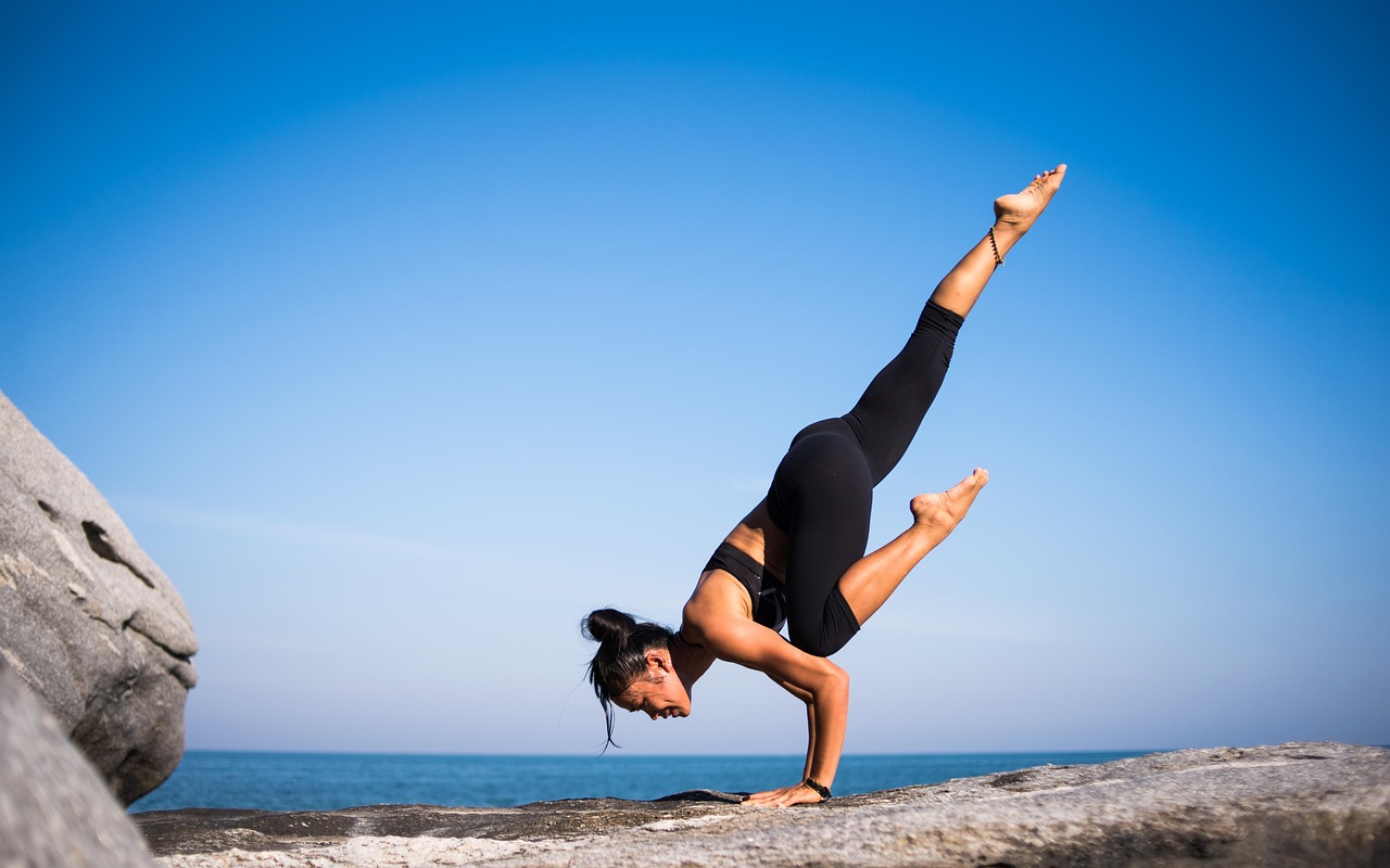 Antelopefit Fitness Club collection